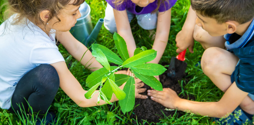 Welcome - Arbor View Montessori School